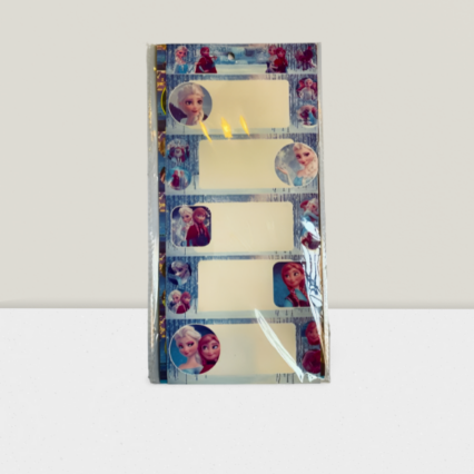 Pack of  Frozen Name TICKET  Sticker
